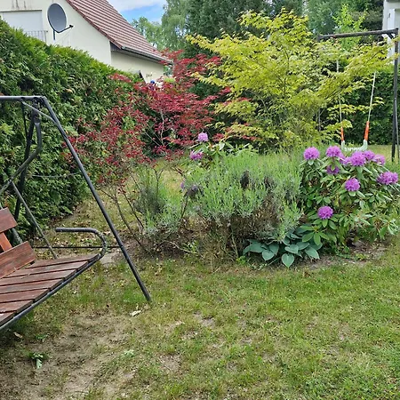 Marc Prázdninový dům Göhren-Lebbin